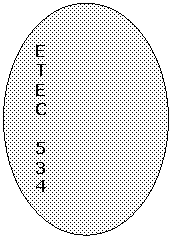 Oval: E
T
E
C

5
3
4
