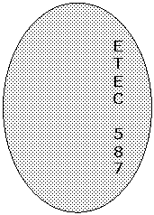 Oval: E
T
E
C

5
8
7
