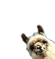 Don't tease the Llama!